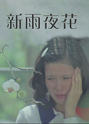 新雨夜花