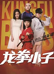 龙拳小子