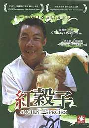红谷子