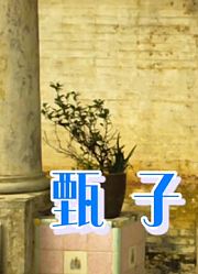 甄子丹精彩的动作篇