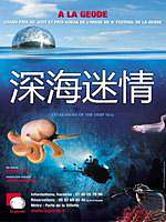隆美尔的金子