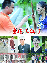 蜜橘又红了
