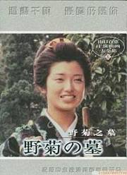 野菊之墓
