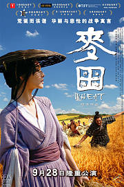 麦田
