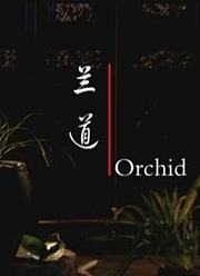 兰道