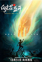 向光花盛开