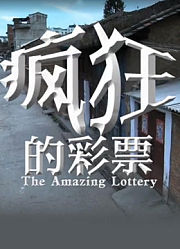 疯狂的彩票（2012）