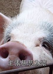 孙子一夜醒来性情大变，对着猪喊爷爷，众人抬起猪才知原来