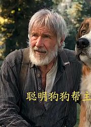 富家犬被狗贩子掳走，卖到千里之外化身狼王