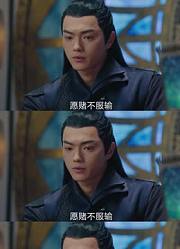 阁主不霸气是对的，他没有野心只是为了招摇