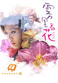 雾里看花