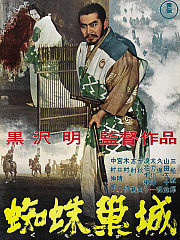 蜘蛛巢城