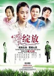 绽放