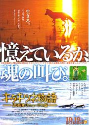 キタキツネ物语
