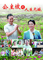 公主坡之人生无憾