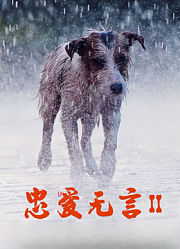 忠爱无言2