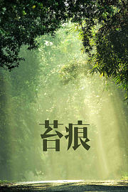 苔痕