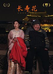 长寿花
