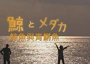 鲸鱼与青鳉鱼