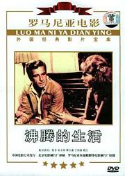 沸腾的生活