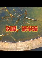 别闹，康半碗之倍辣火鸡面