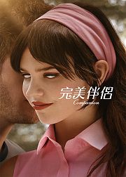 完美伴侣