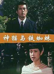 神猫与铁蜘蛛