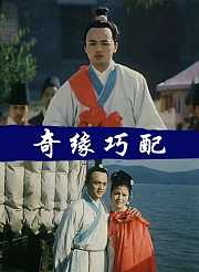 奇缘巧配