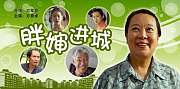 胖婶进城