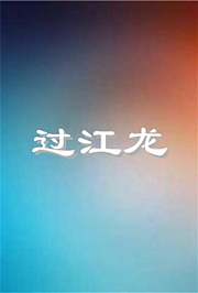 奇门大盗过江龙