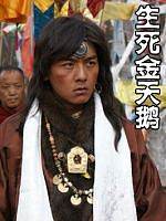 生死金天鹅