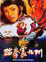 跆拳震九州