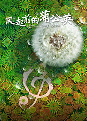 风起前的蒲公英