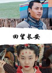 回望长安