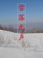 雪落无声