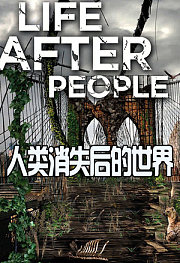 人类消失后的世界