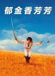 郁金香芳芳