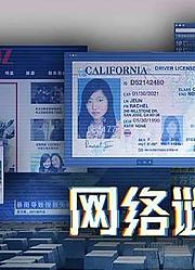 人在外国失踪咋办，外国人都赞不绝口的剧情，悬疑片《网络迷踪》