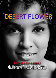 电影赏析《沙漠之花》