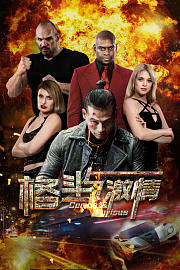 格斗与激情