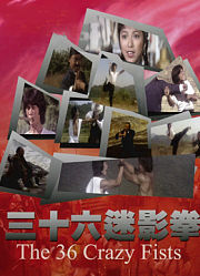 三十六迷形拳
