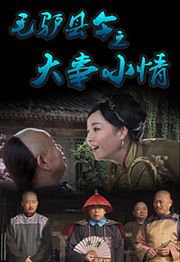 毛驴县令之大事小情