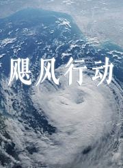 飓风行动