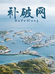 补破网