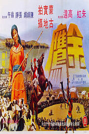 金鹰