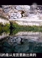 龙王井之谜