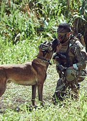 湄公河行动（片段）哮天犬助攻张涵予勇闯雷区