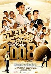 买买提的2008
