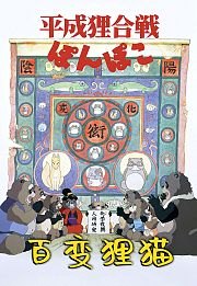 百变狸猫
