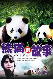 熊猫的故事